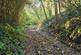Additional image 15 of Login, Whitland, SA34