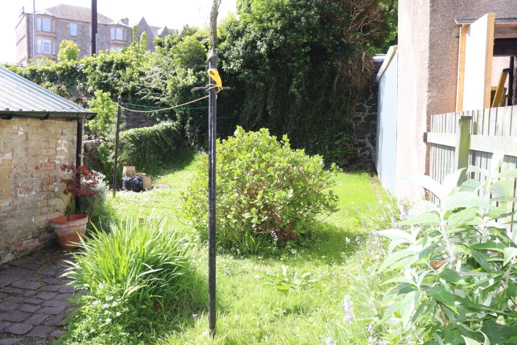 Additional image 11 of 1 bed flat for saleFlat 3, 21 Argyle Street, Rothesay PA20