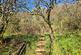 Additional image 24 of Login, Whitland, SA34
