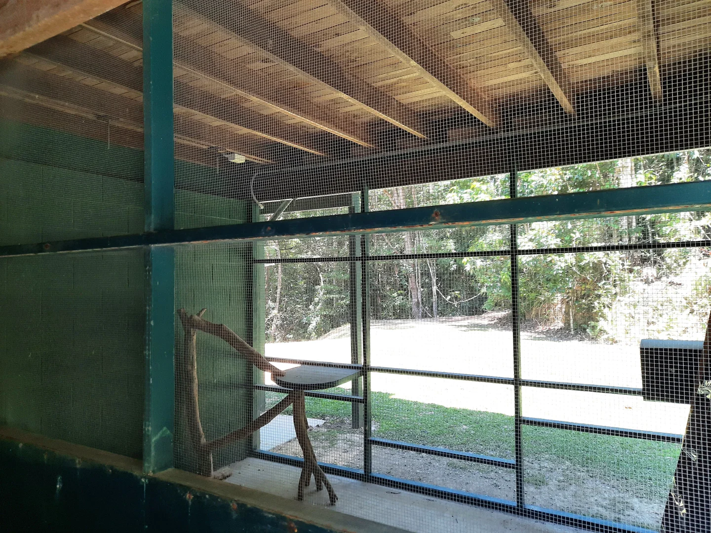 Additional image 15 of Kuranda QLD 4881