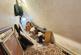 Additional image 33 of Englestede Close, Handsworth Wood, Birmingham, B20 1BJ