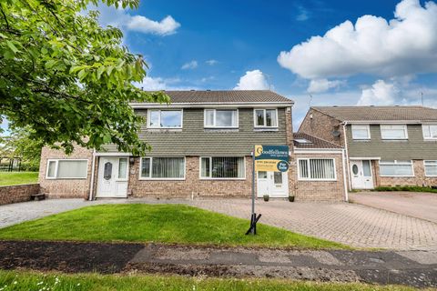 Esher Court, Kingston Park, Newcastle Upon Tyne NE3