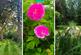 Additional image 37 of Welton Le Wold, Louth, LN11 0QT