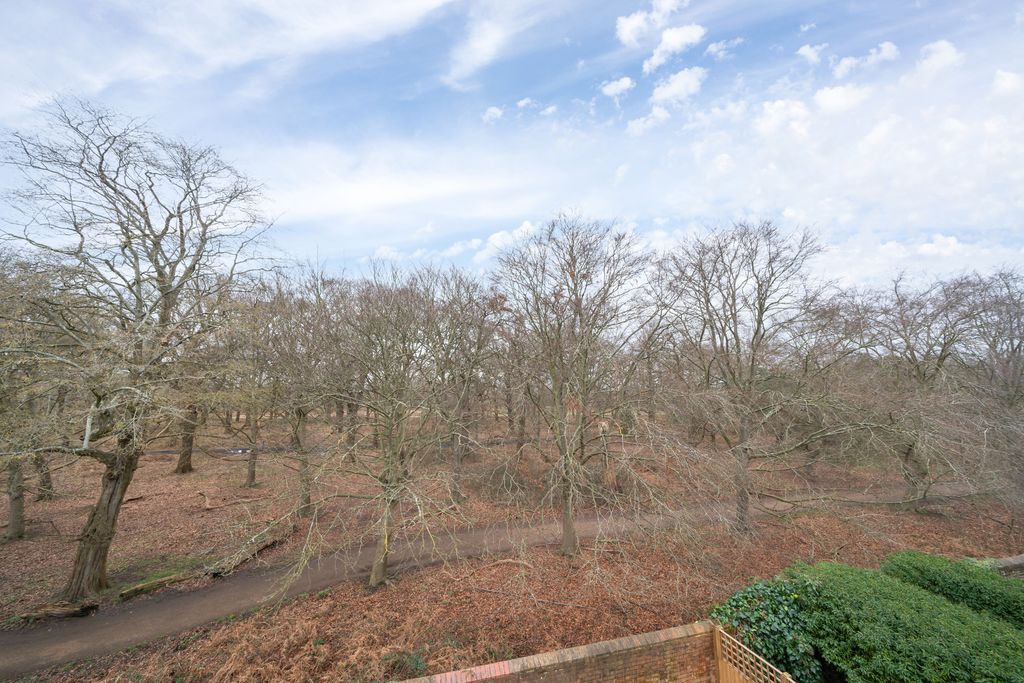 Additional image 10 of 3 bed flat for saleShalford Lodge, Kingston Hill, Kingston Upon Thames KT2