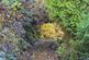 Additional image 14 of Login, Whitland, SA34