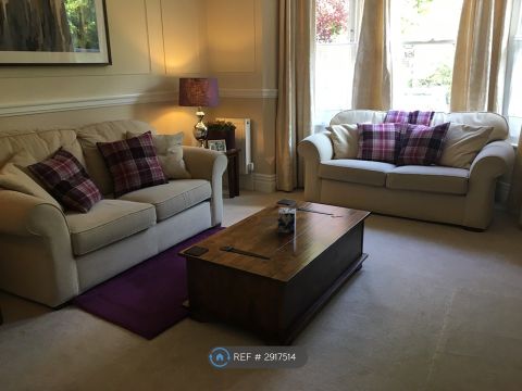 Western Elms Avenue, Reading RG30, Room to rent
