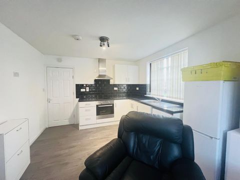Lewis Drive, Fenham NE4, Studio to rent