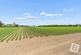 Additional image 8 of London Road, Stapleford Tawney, Romford, Essex, RM4