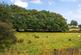 Additional image 24 of Vivians Row, Morriston, Swansea