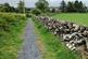 Additional image 32 of Main Street, Newton Stewart DG8