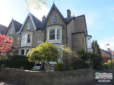 Psalter Lane, Psalter Lane, Sheffield S11