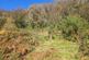 Additional image 21 of Login, Whitland, SA34