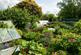 Forget Me Not Farm, Earlswood, B94 photo 4