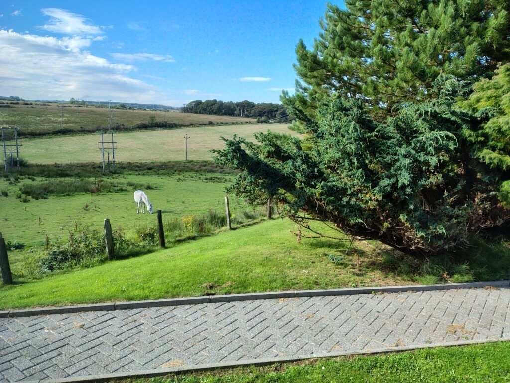 Additional image 19 of 4 bed semi-detached house for sale4 Knockanreoch, Westlands Road, Rothesay PA20