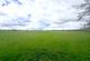 Quarry Lane, Butterknowle DL13 photo 2