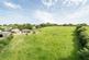 Honiton photo 2