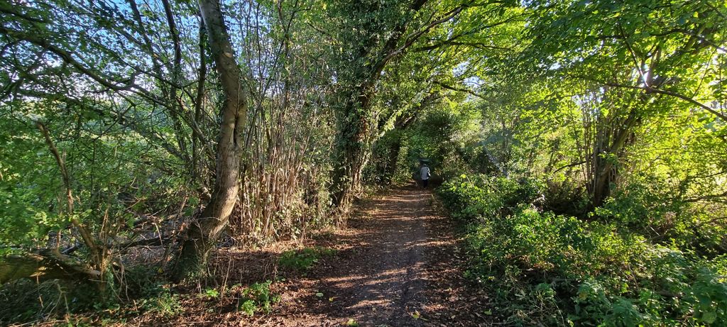 Additional image 3 of Land for saleOld Rectory Lane Bakers Wood, Uxbridge UB9
