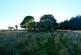 Additional image 17 of Balgair Wood (just under 36 acres), Olgrinmore, Scotscalder, Caithness KW12