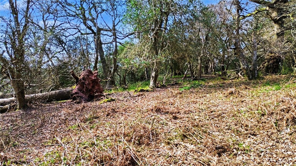 Additional image 10 of Land for saleHolford, Bridgwater, Somerset TA5