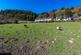 Additional image 31 of Glyn Ceiriog, Llangollen