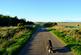 Additional image 9 of Balgair Wood (just under 36 acres), Olgrinmore, Scotscalder, Caithness KW12