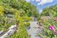 Additional image 30 of Pontfadog, Llangollen