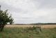 Plot at Muiryden Farm, Fortrose, IV10 photo 2