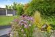 Additional image 23 of Glebelands, Harlow