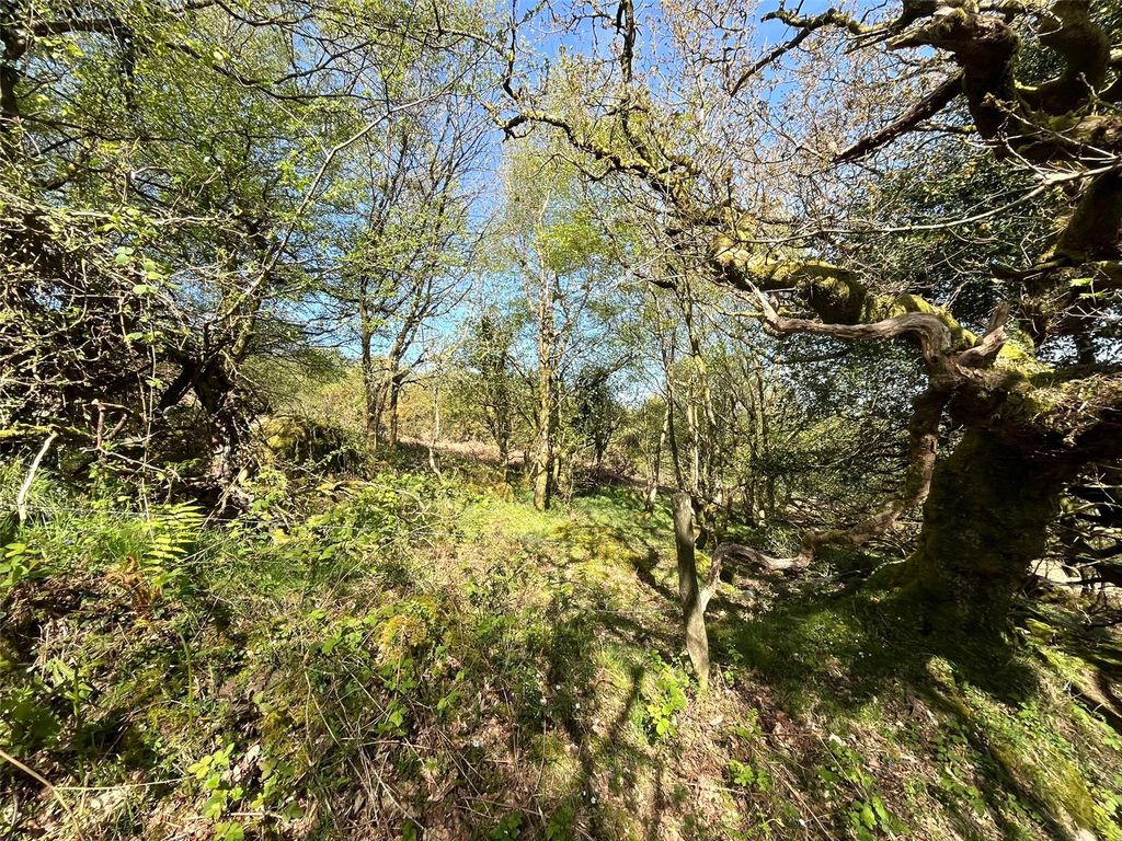 Additional image 2 of Land for saleSticklepath, Okehampton EX20
