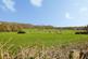Additional image 7 of Wheathill Way, Milborne Port, Sherborne