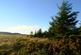 Additional image 29 of Balgair Wood (just under 36 acres), Olgrinmore, Scotscalder, Caithness KW12