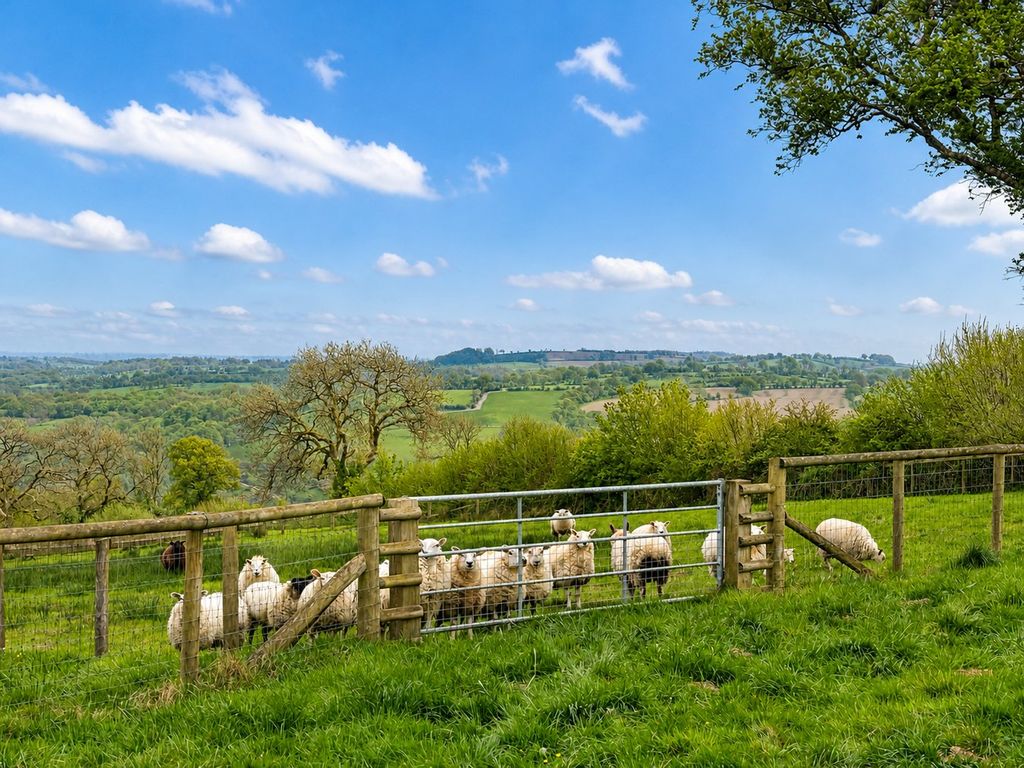 Additional image 22 of 2 bed farm for saleBwlchllan, Lampeter SA48