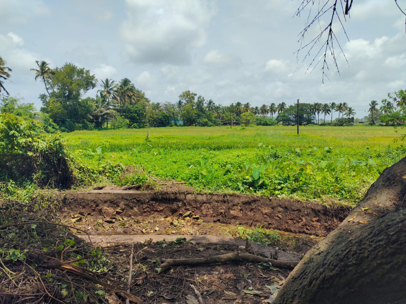 Porvorim, Goa photo 3