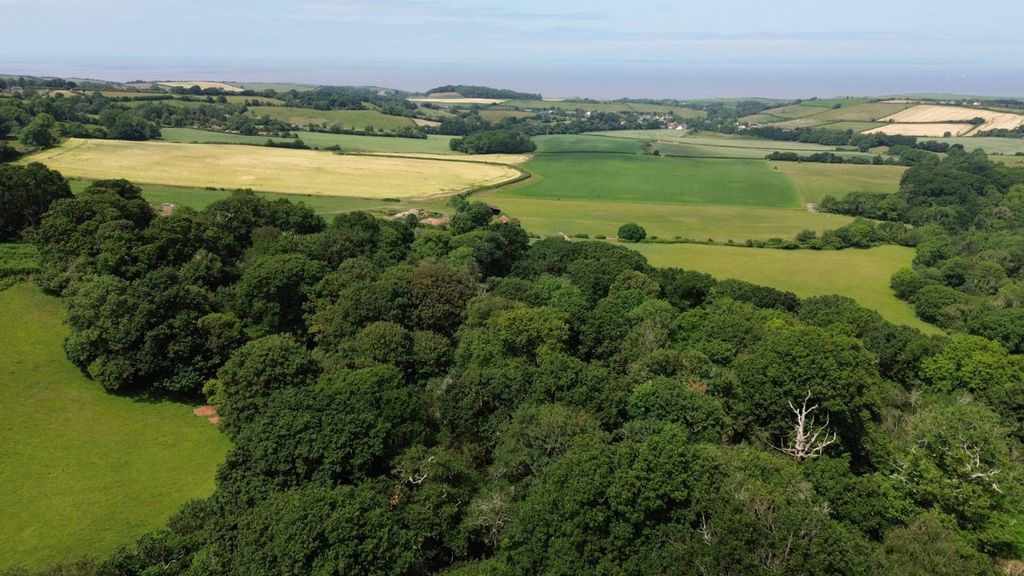 Additional image 14 of Land for saleHolford, Bridgwater, Somerset TA5