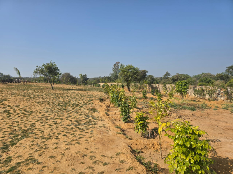 Bandhwari, Gurgaon