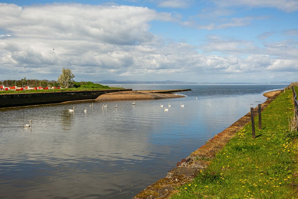 Additional image 28 of 2 bed flat for saleGoose Green Crescent, Musselburgh EH21