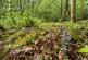 Redditch, Worcestershire B48 photo 2