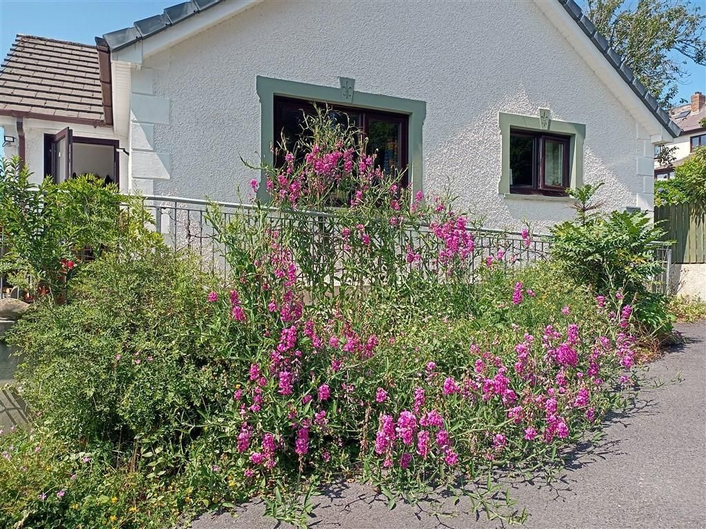 Additional image 23 of 3 bed detached bungalow for saleAdpar, Newcastle Emlyn, Ceredigion SA38