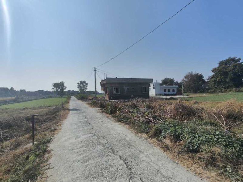 Ramnagar, Nainital photo 3