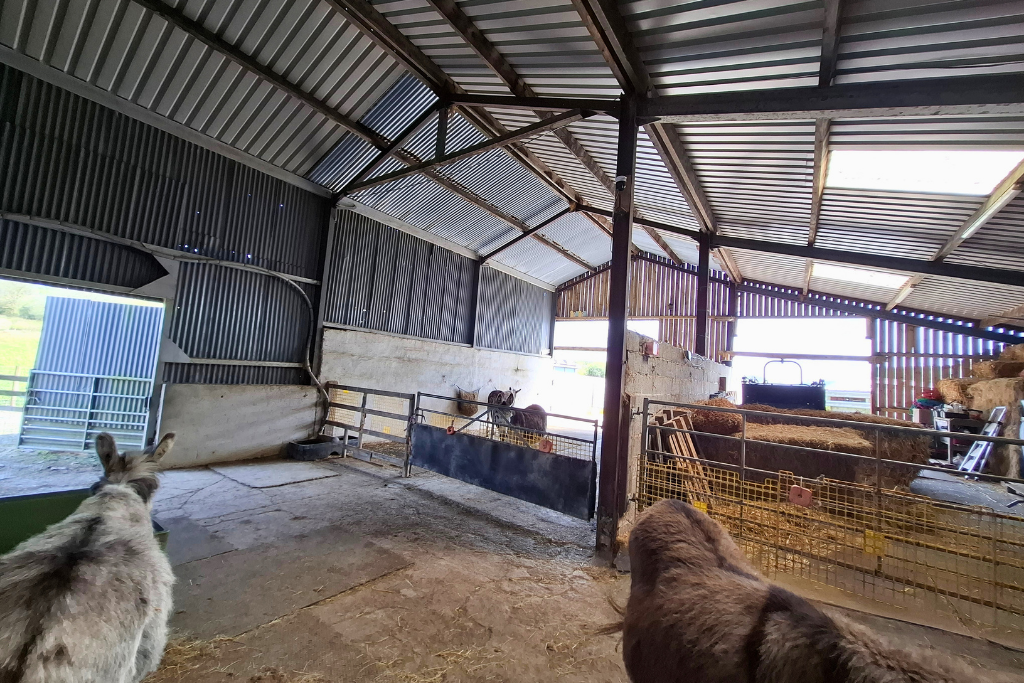 Additional image 16 of 3 bed equestrian for saleBryn Dafydd Isaf, Esgardawe, Llandeilo SA19