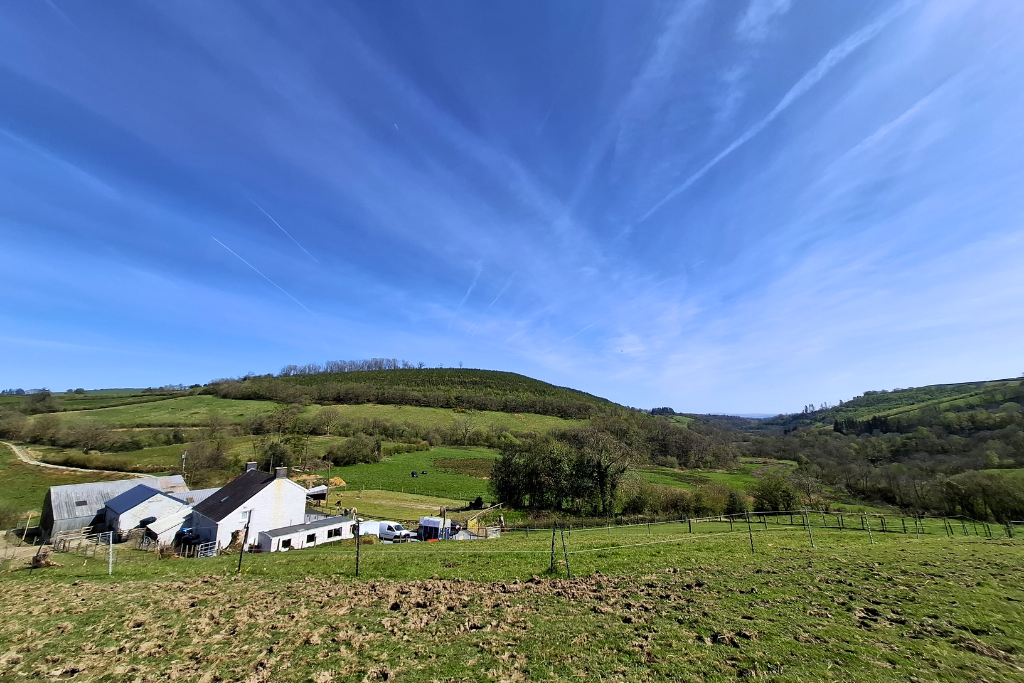 Additional image 50 of 3 bed equestrian for saleBryn Dafydd Isaf, Esgardawe, Llandeilo SA19
