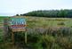 Additional image 18 of Balgair Wood (just under 36 acres), Olgrinmore, Scotscalder, Caithness KW12