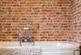 Additional image 22 of Sandy Lane, East Tuddenham, Norfolk, NR20