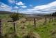 Blar Mor, Grantown-on-Spey PH26 photo 2