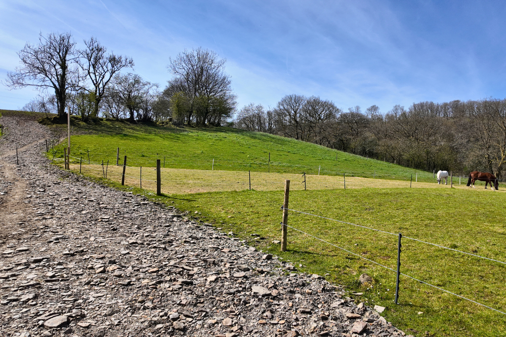 Additional image 47 of 3 bed equestrian for saleBryn Dafydd Isaf, Esgardawe, Llandeilo SA19