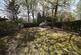 Fir Tree Lane, Little Baddow photo 3