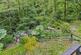 Cwmfelin Boeth - 1.75 Acre Wooded Plot photo 2