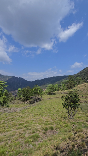 Additional image 2 of Itharna, Dehradun