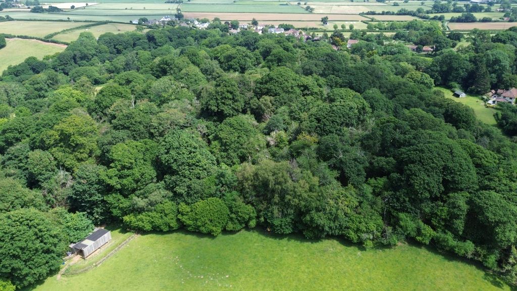 Additional image 15 of Land for saleHolford, Bridgwater, Somerset TA5