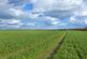Additional image 11 of Braham Farm, Little Thetford, Ely, Cambridgeshire, CB6